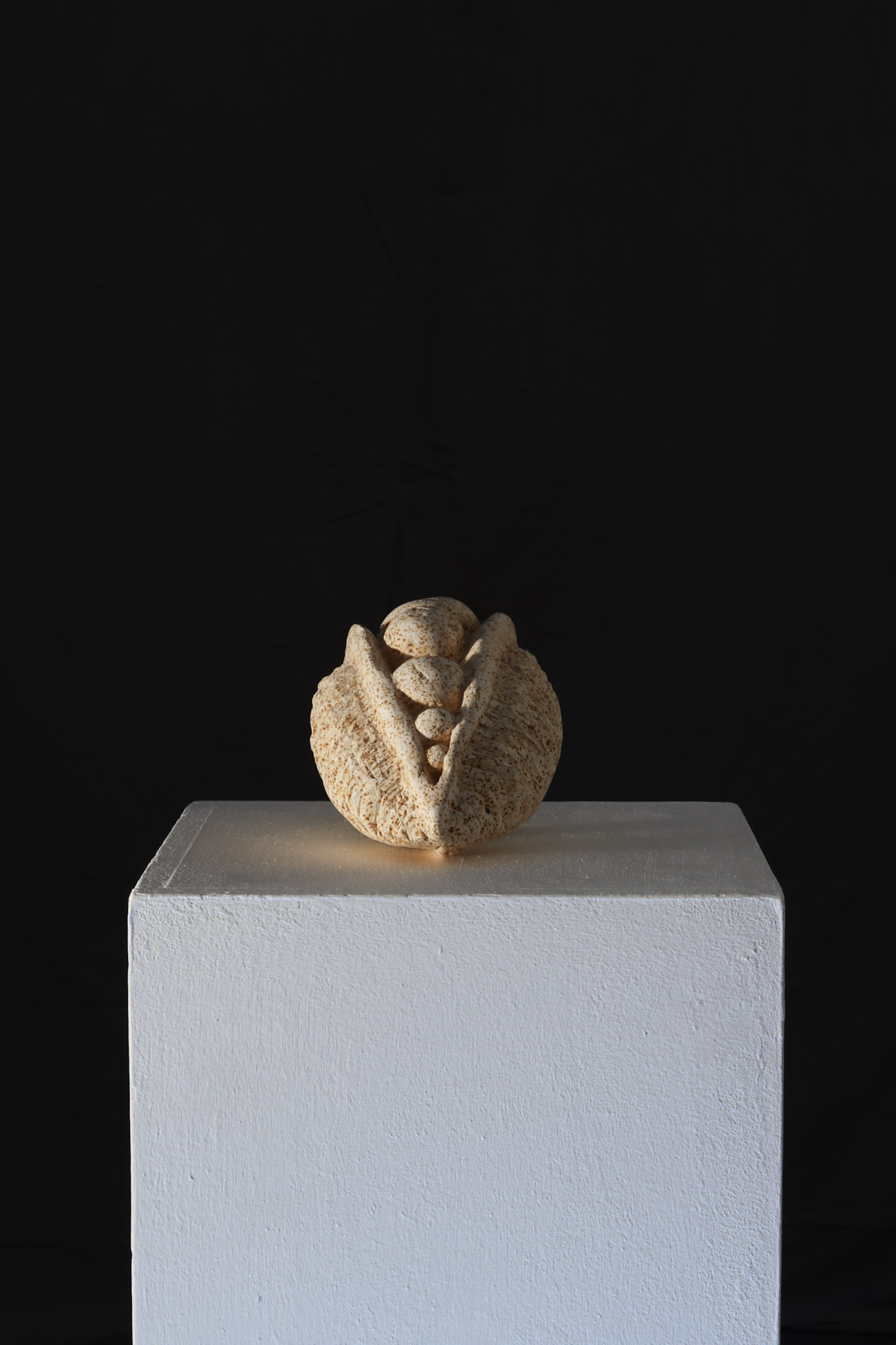 Seed pod Plaster and iron filings20x13x11cm£330